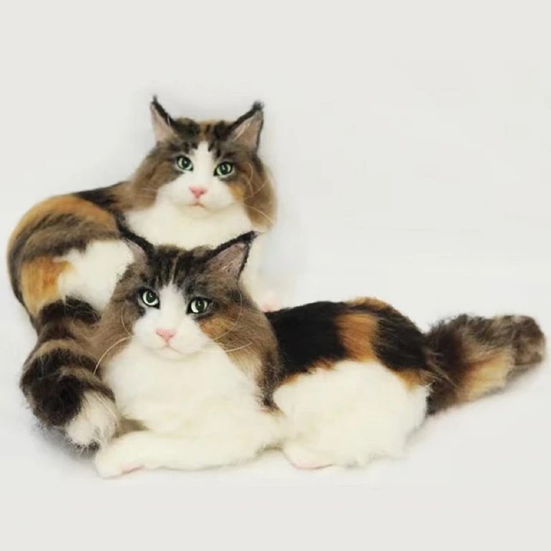 定制化礼物 逼真猫猫 羊毛毡 毛孩 宠物 娃娃 猫咪猫奴 似颜绘 b2 - 玩具 - 羊毛 多色