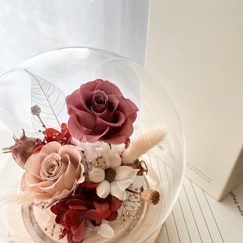 红粉永生花圆形玻璃钟罩 附盒子 情人节礼物 生日礼物 周年  开幕 - 干燥花/捧花 - 植物．花 多色