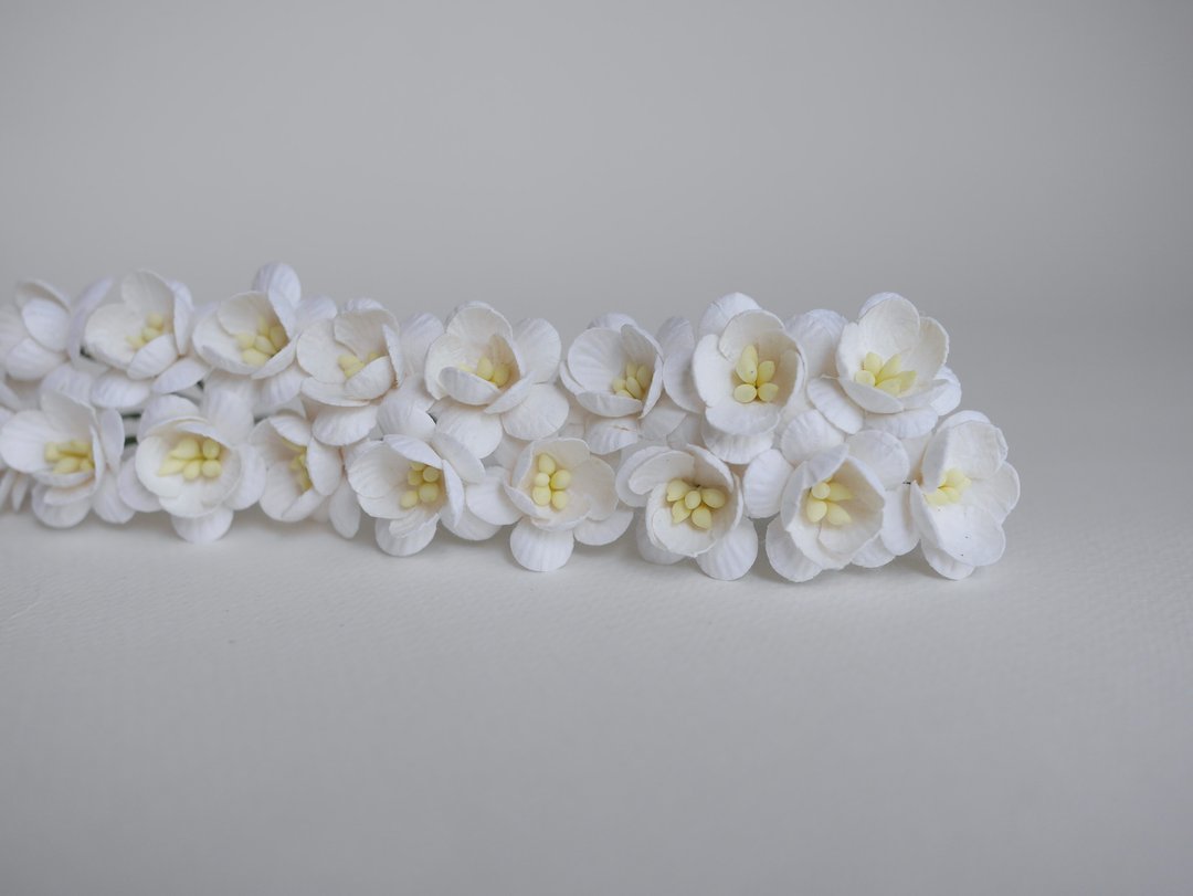 纸花，50片，尺寸2.5厘米。樱花，白色。 - 其他 - 纸 白色