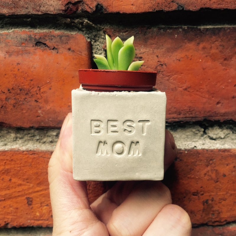 BEST MOM。 妈妈棒棒。母亲节多肉磁铁盆栽 - 植栽/盆栽 - 水泥 灰色