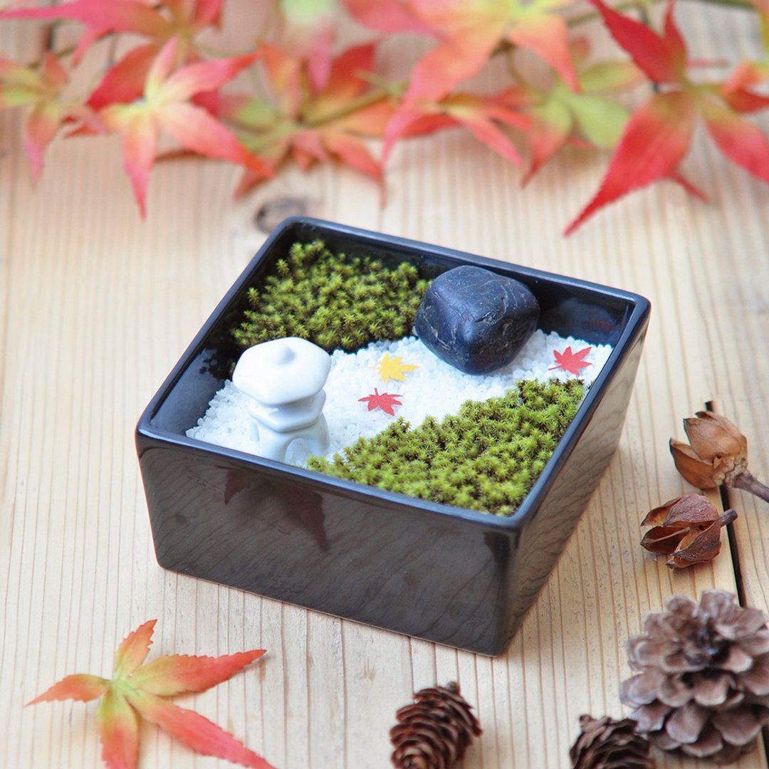 koke-biyori 苔目和 / 日式庭园造景组 苔藓 - 植栽/盆栽 - 陶 黑色