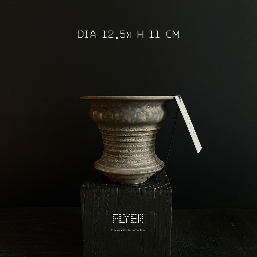 FLYER 块根多肉植物陶盆器 龙舌兰象牙宫象足漆树盆器 - 花瓶/陶器 - 陶 