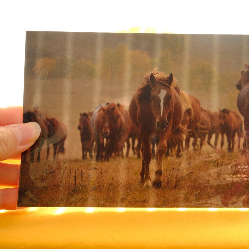 【独一无二】心意卡 明信片 两面吸墨雪棉纸 - 卡片/明信片 - 纸 橘色