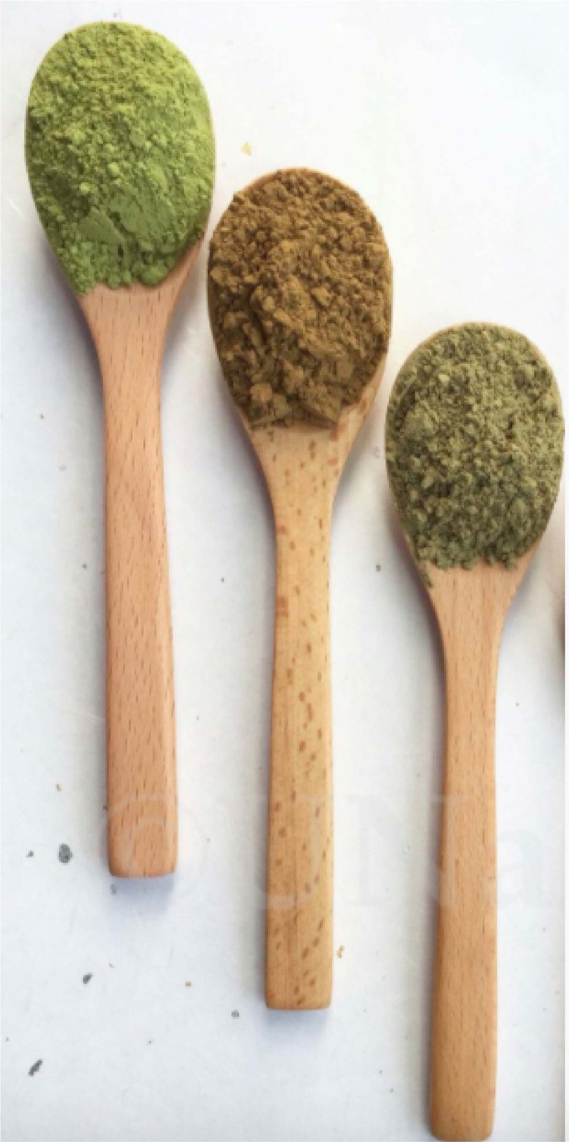 自然茶粉-茉莉花香乌龙茶粉 - 美食 - 植物．花 橘色