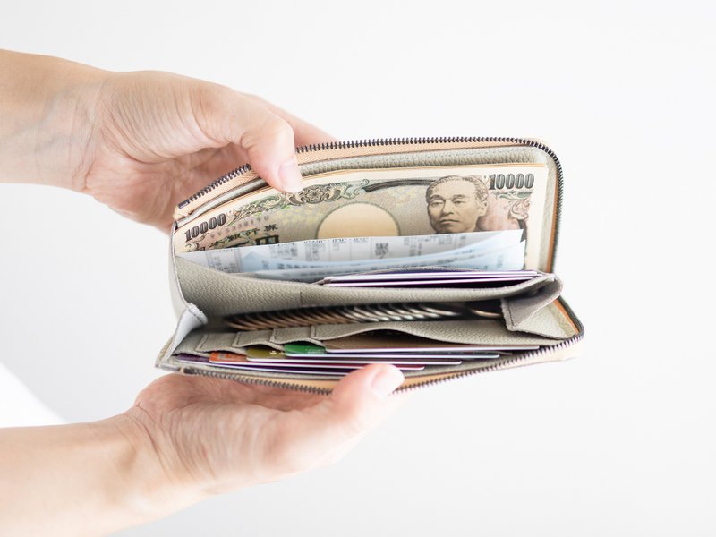 il modo ZIP 概念款小长夹 STATUSY 日本制皮夹 皮革钱包职人手作 - 皮夹/钱包 - 真皮 多色