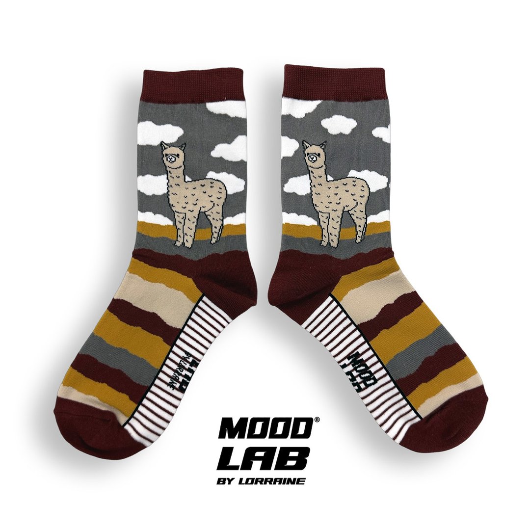 MOODLABBYLORRAINE | ALPACA 袜子 - 袜子 - 棉 咖啡色