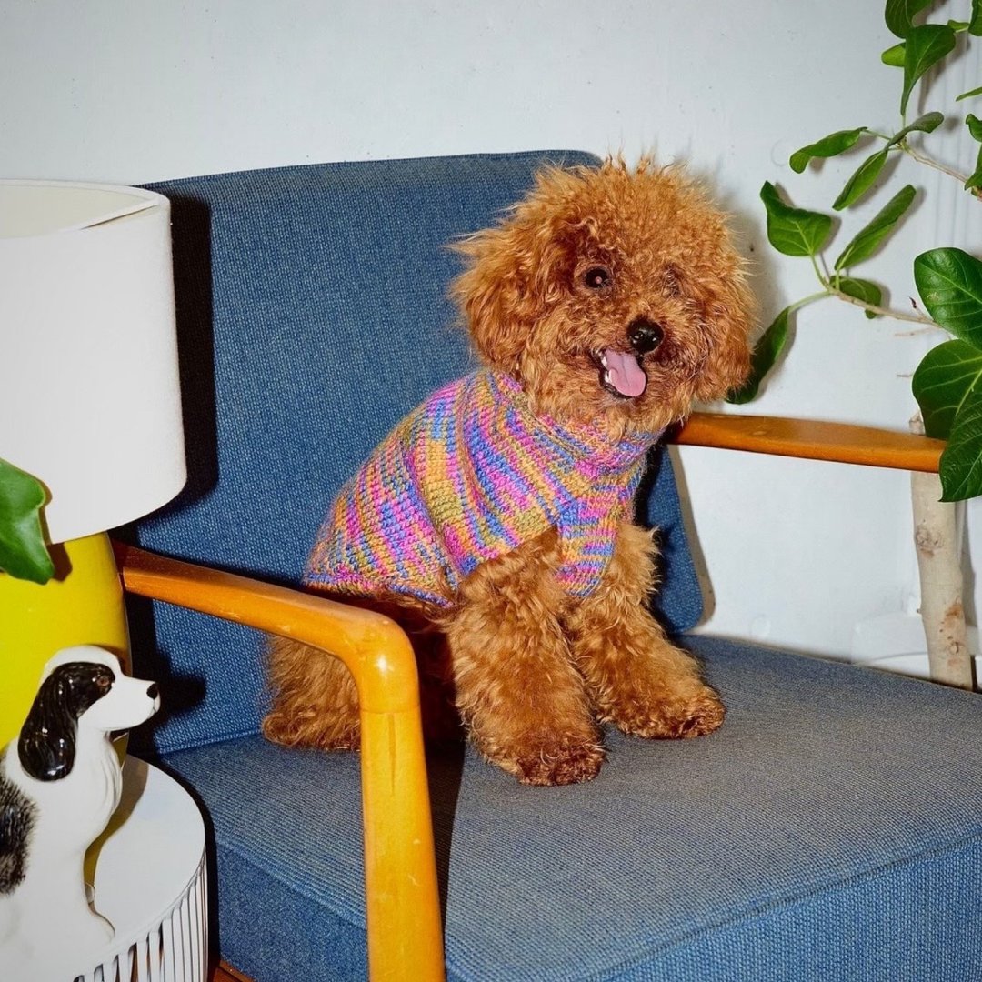 FANCY SWEATER - ORANGE - 衣/帽 - 棉 橘色