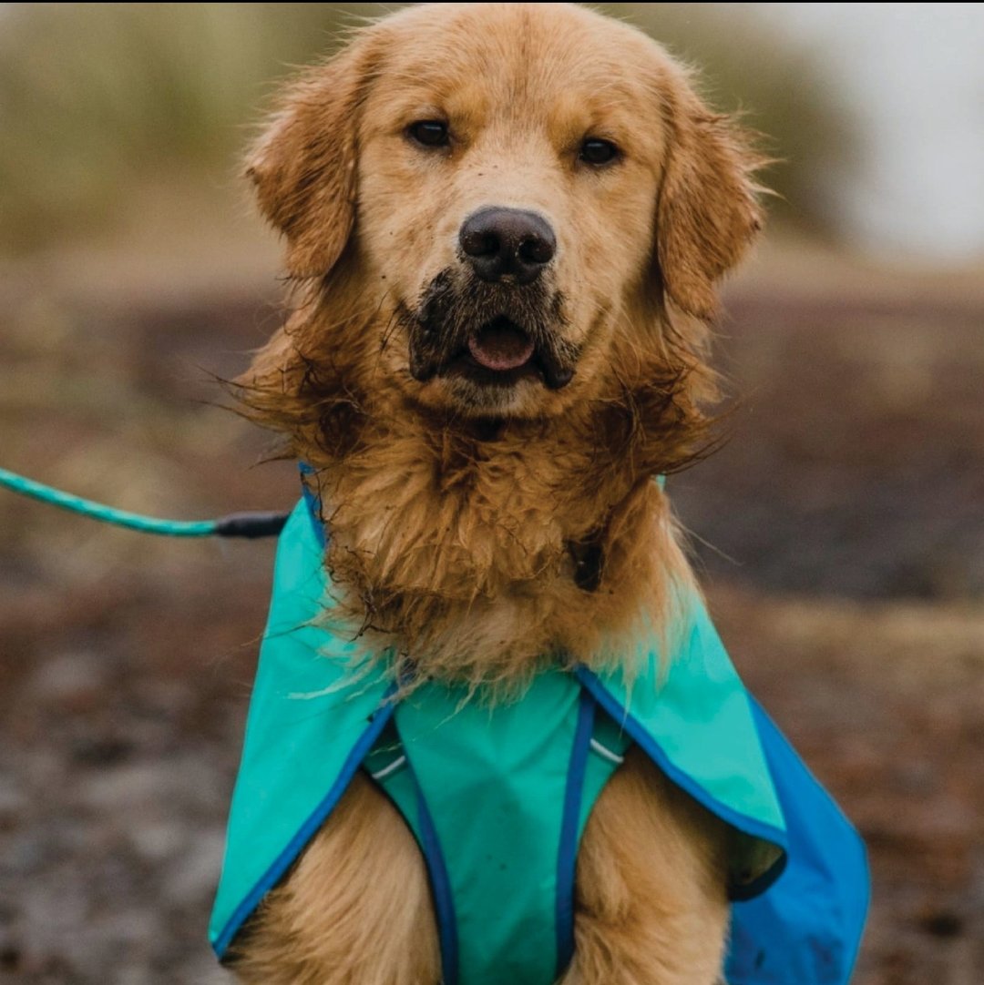 Ruffwear Sun Shower雨衣 - 衣/帽 - 塑料 多色