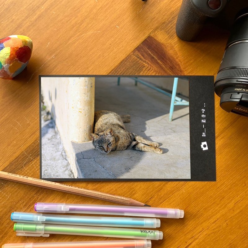 手工限量摄影明信片-澎湖午后的猫咪/台湾小物摄影 - 卡片/明信片 - 纸 多色