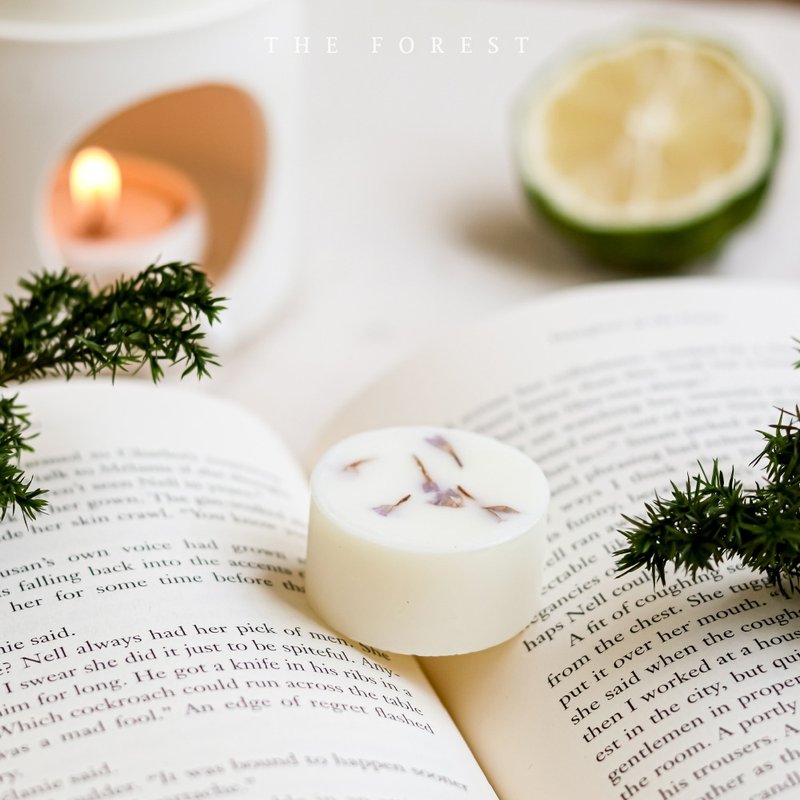 初夏午后手工香氛蜡块4入组 - 蜡烛/烛台 - 蜡 紫色