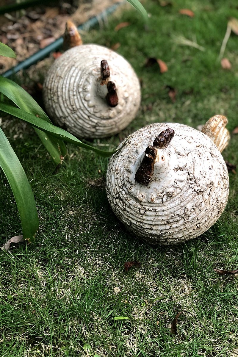 一对球形陶公鸡 户外园艺摆件 - 摆饰 - 陶 白色