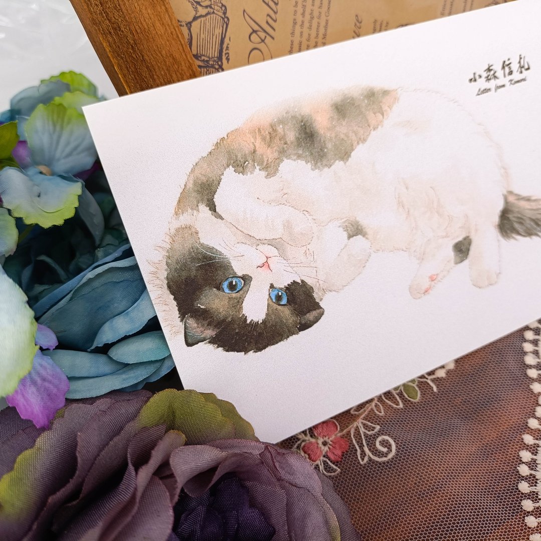 LS148_貓咪明信片_09/明信片 - 卡片/明信片 - 纸 多色
