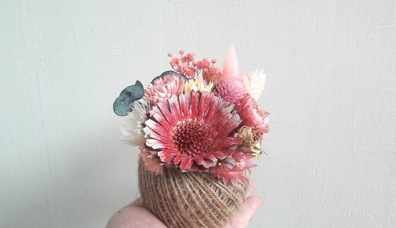 与实花||恋恋太阳 干燥花 盆花 手作 - 植栽/盆栽 - 植物．花 粉红色