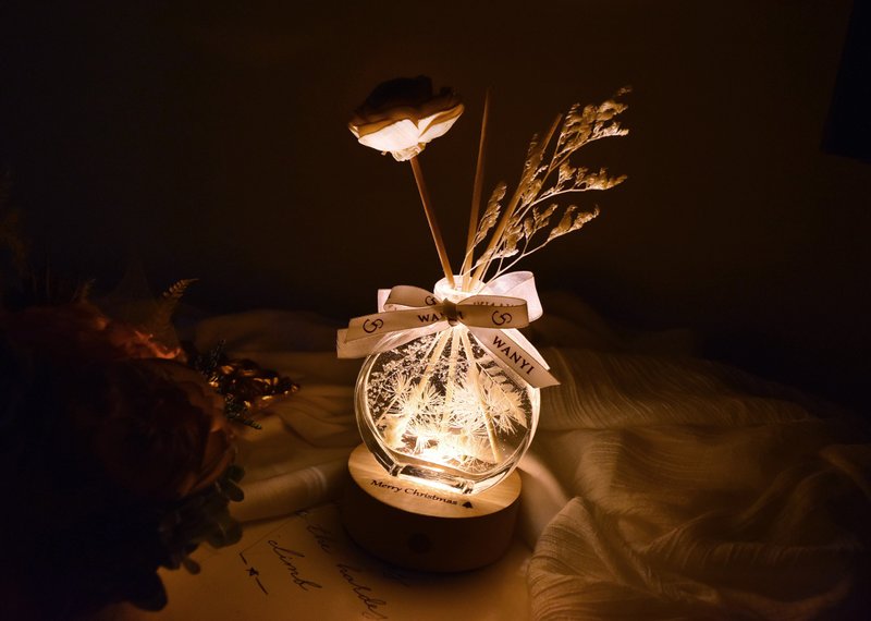 银河星空浮游花圆款小夜灯 扩香花 母亲节 干燥花 毕业礼物 刻字 - 干燥花/捧花 - 植物．花 白色