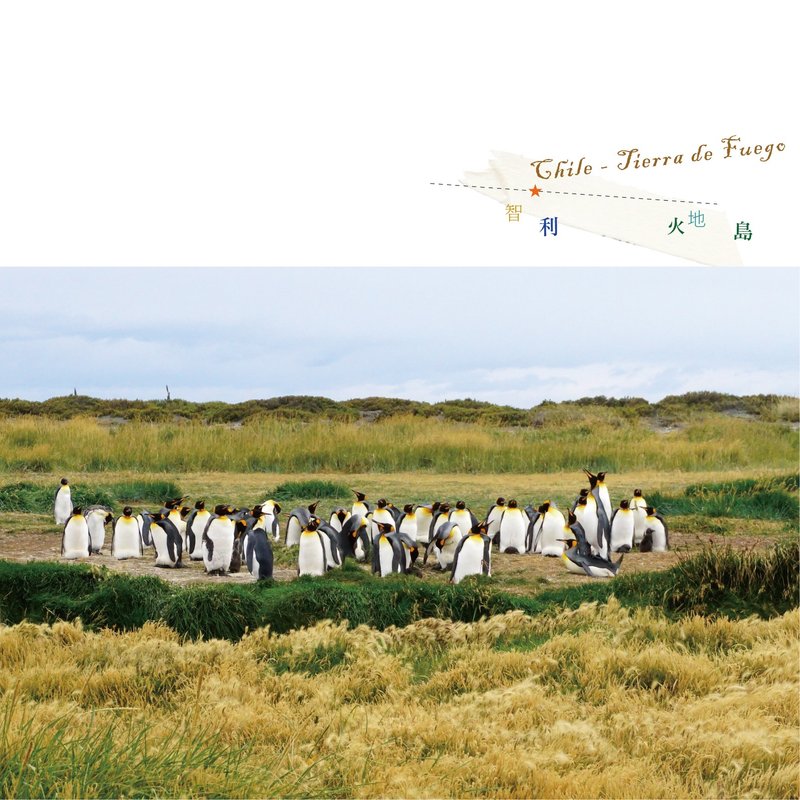 智利旅行摄影明信片 - 卡片/明信片 - 纸 