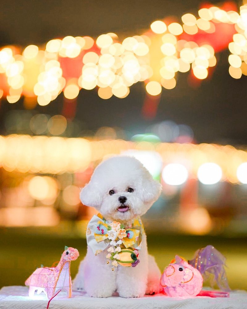 【Hana-bi Bow】宠物围兜 | 黄色 - 衣/帽 - 棉．麻 黄色