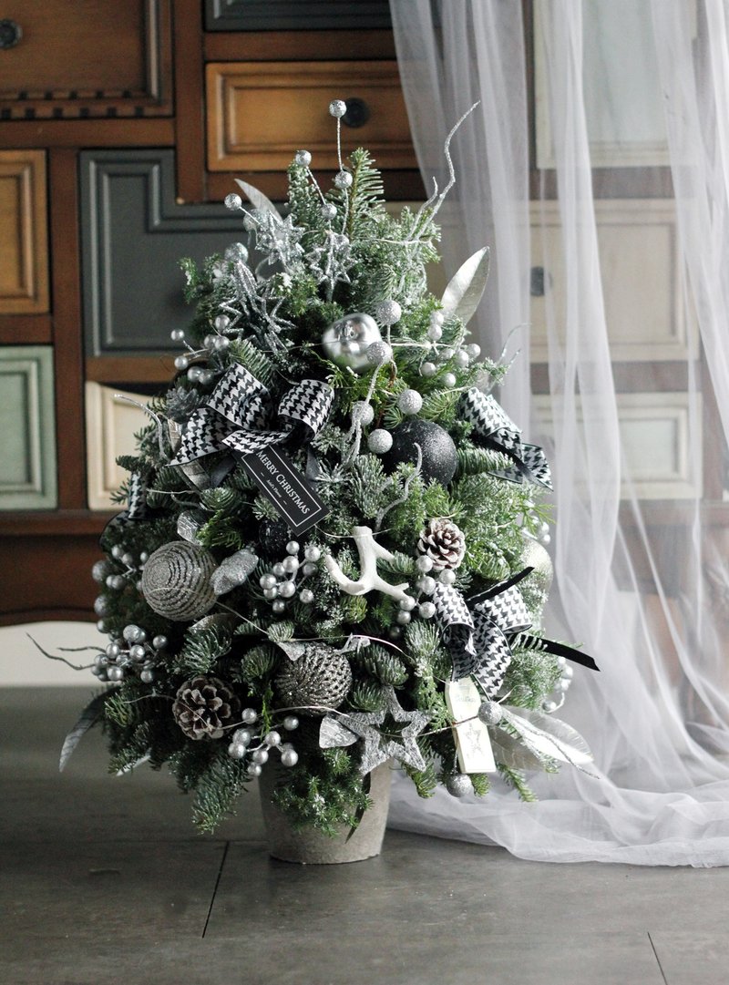 做自己的风格 【新鲜圣诞树 】诺贝松与雪松 白黑银个性圣诞树 - 植栽/盆栽 - 植物．花 多色