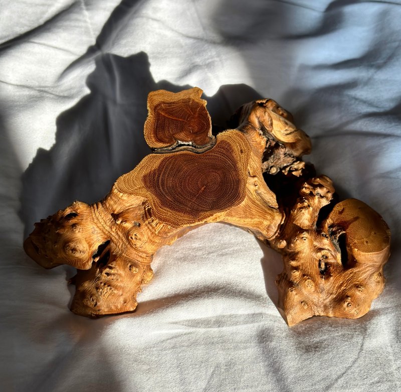 意景 𤠣型 实木 原木 麻利疙瘩木 底座 树根 造景杯垫 茶道 - 摆饰 - 木头 咖啡色