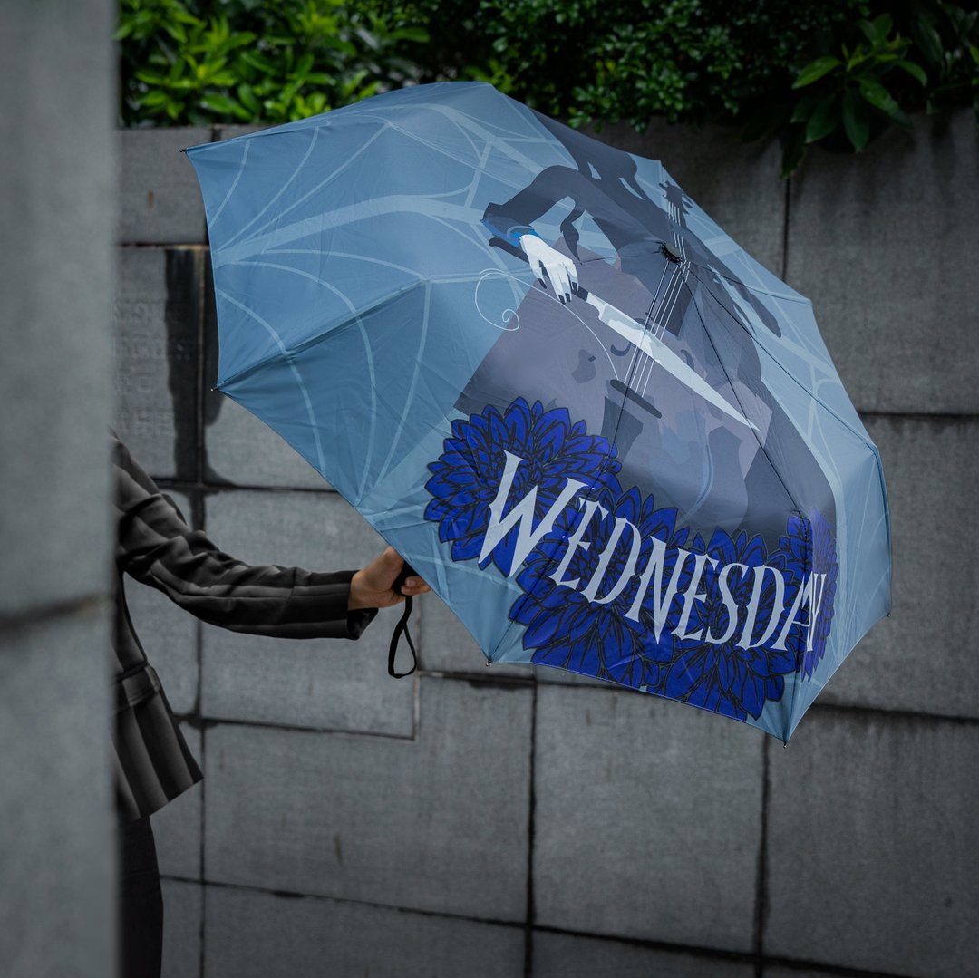 Wednesday - 雨伞 - Wednesday 大提琴款 - 雨伞/雨衣 - 其他材质 蓝色