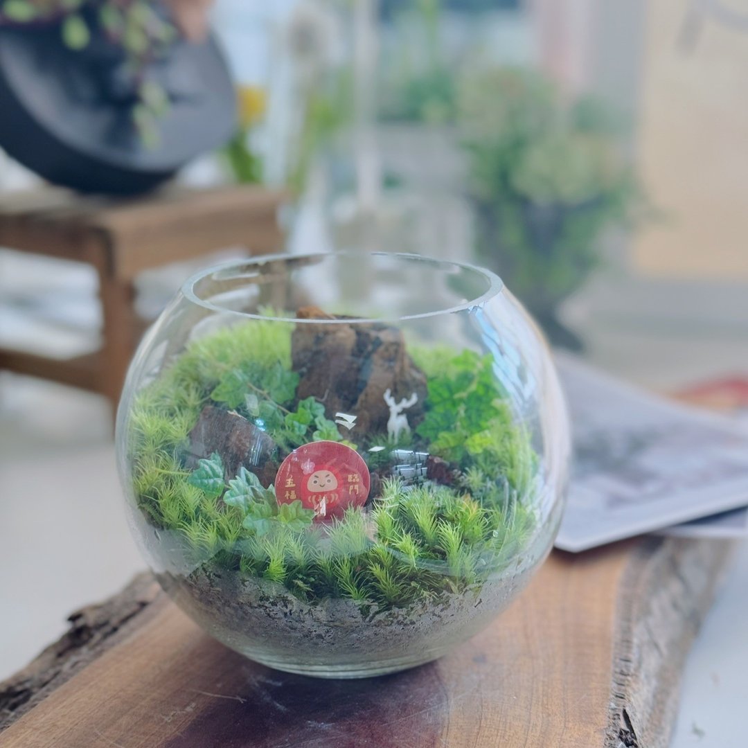2026新年礼物 ! 福鹿森林-新年限定 苔藓缸 年节送礼 疗愈植栽 - 植栽/盆栽 - 植物．花 绿色