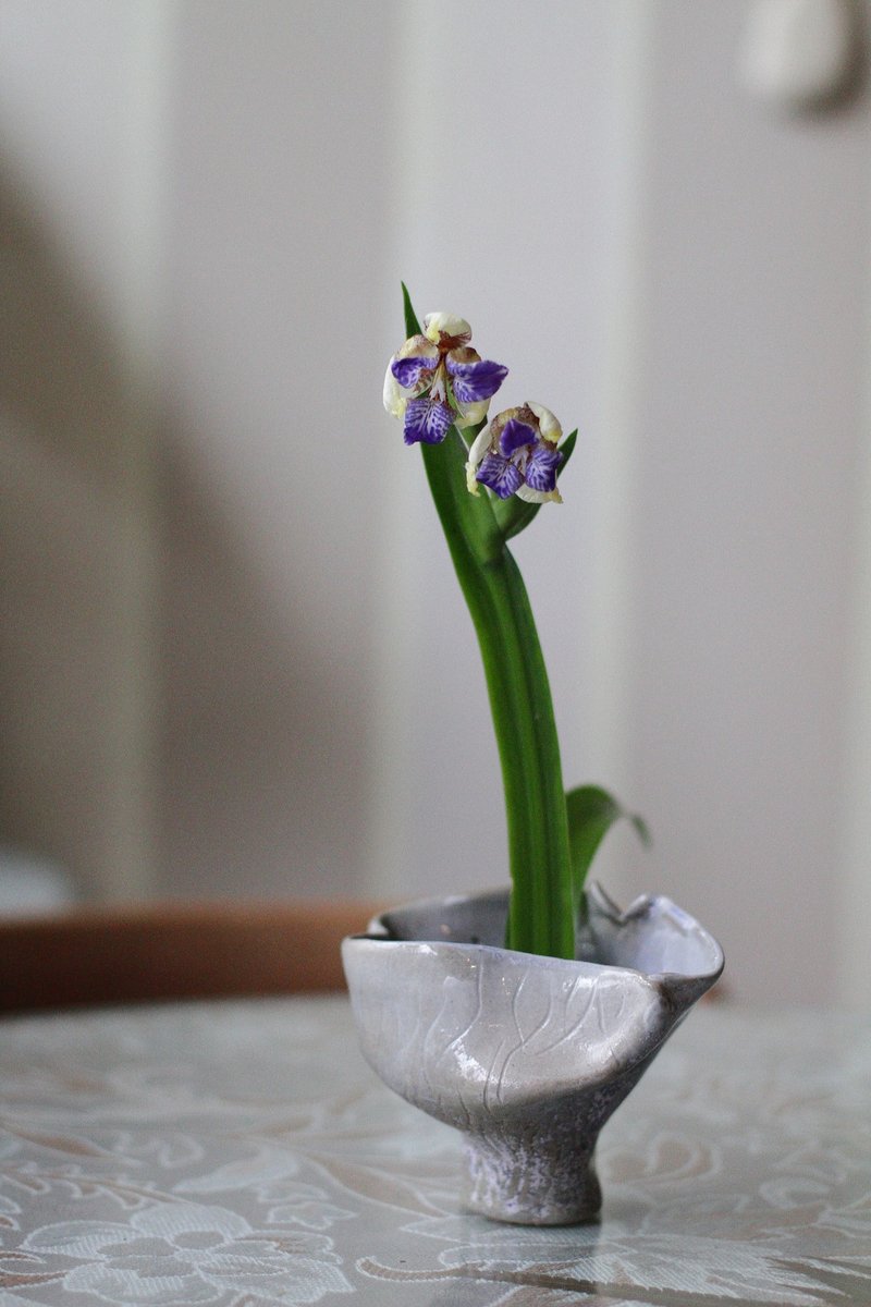 纯手捏透明粉蓝陶瓷花形花器 - 花瓶/陶器 - 陶 蓝色