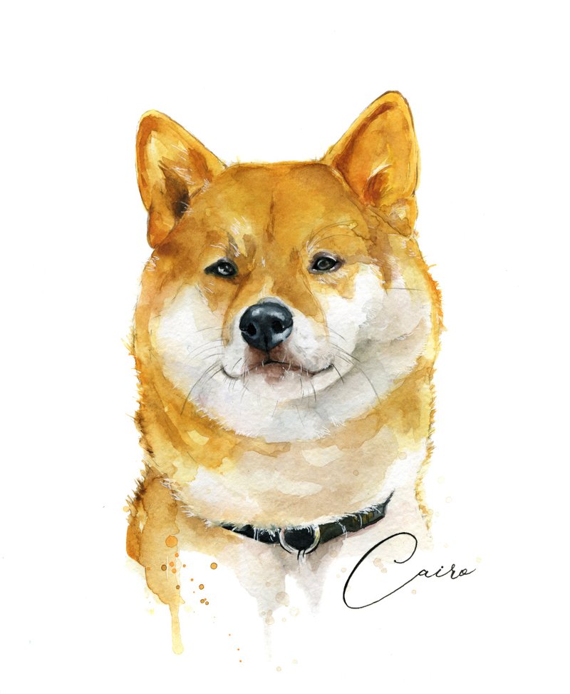 Custom Watercolor Dog Portrait Shiba Inu - 订制画像 - 纸 橘色