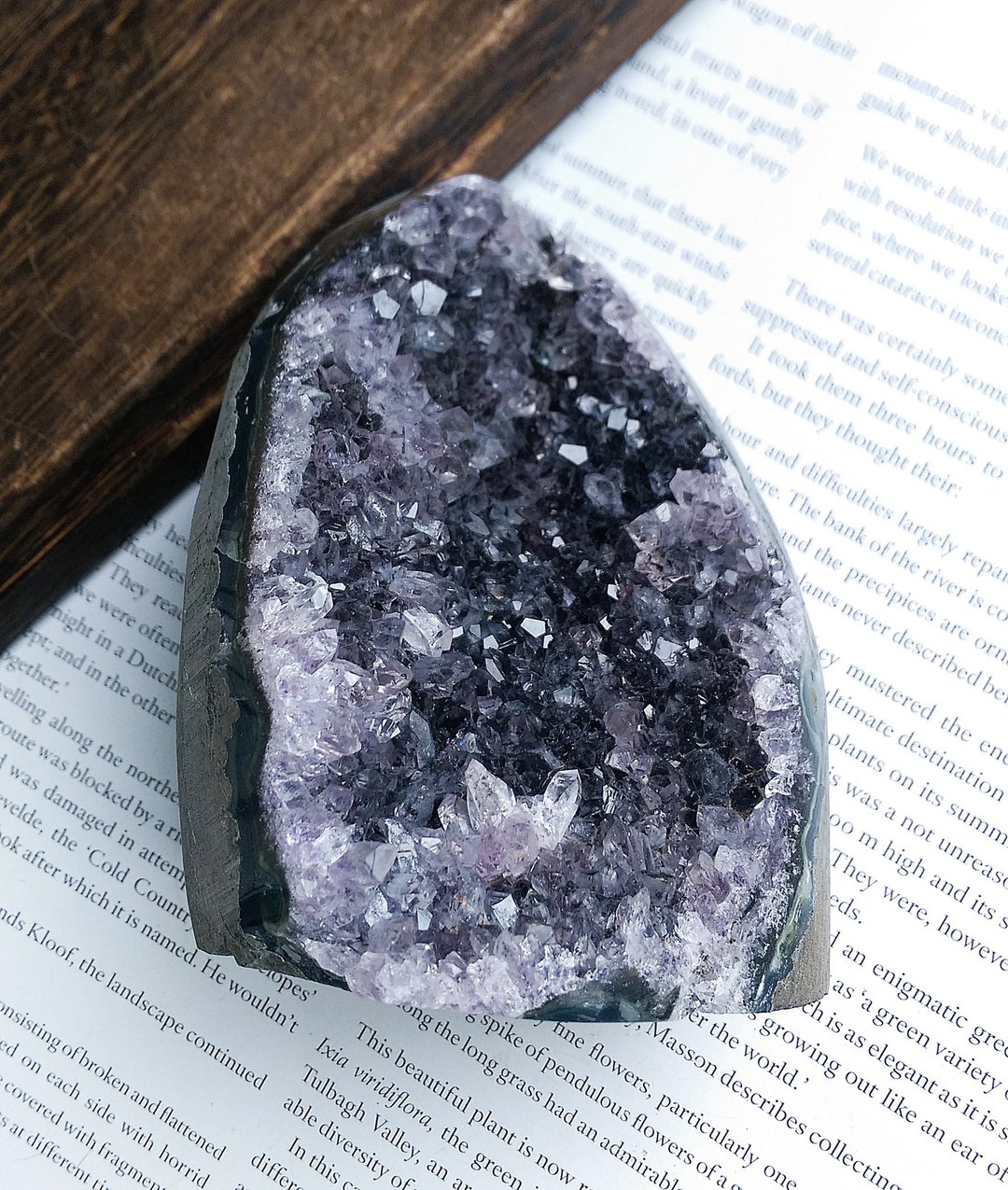 Amethyst  乌拉圭产地 原皮紫水晶  紫水晶晶镇 天然矿石 原矿 - 摆饰 - 其他材质 