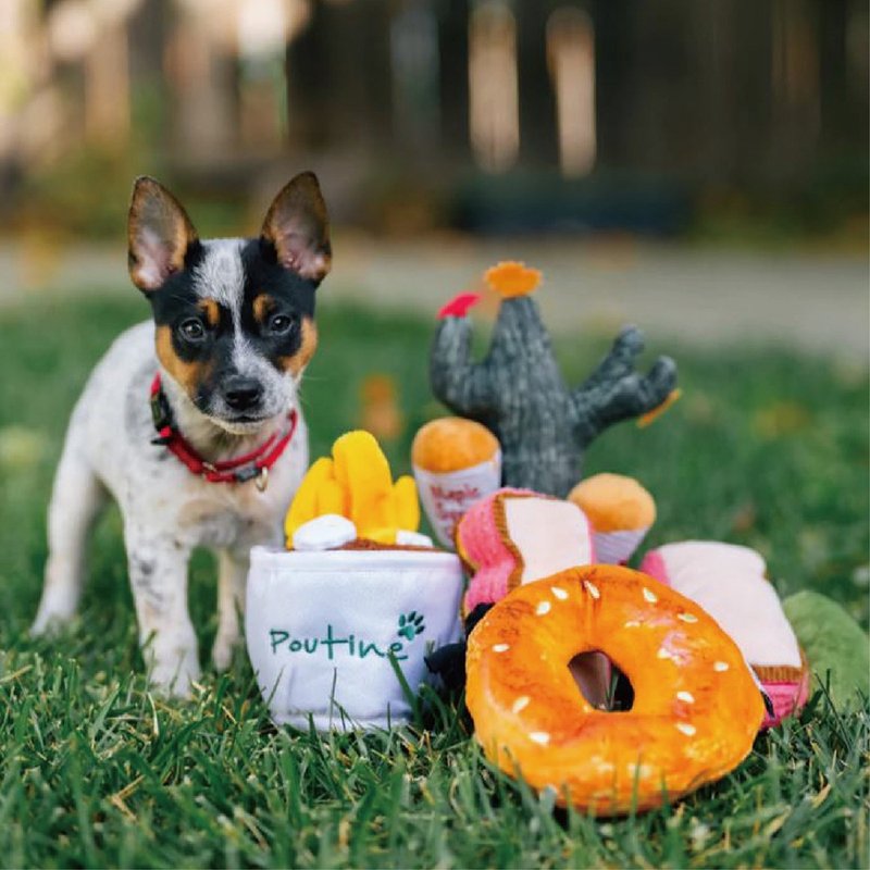 【狗狗玩具 Earth Rated 蒙特娄美食 4件组】宠物  啾啾声 抗忧解 - 玩具 - 环保材料 