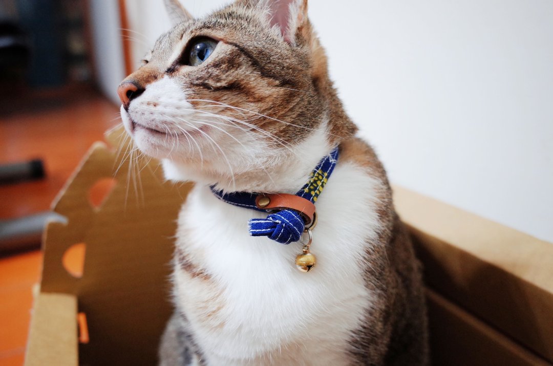 猫 项圈 可爱 蓝底白花 日本布 双面设计 附铃铛 可加购吊牌 - 项圈/牵绳 - 棉 蓝色