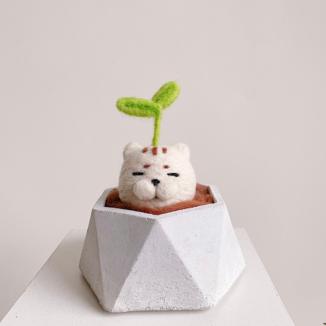 发芽的太猫羊毛毡多肉盆栽/摆饰/居家摆饰/礼物 - 植栽/盆栽 - 羊毛 