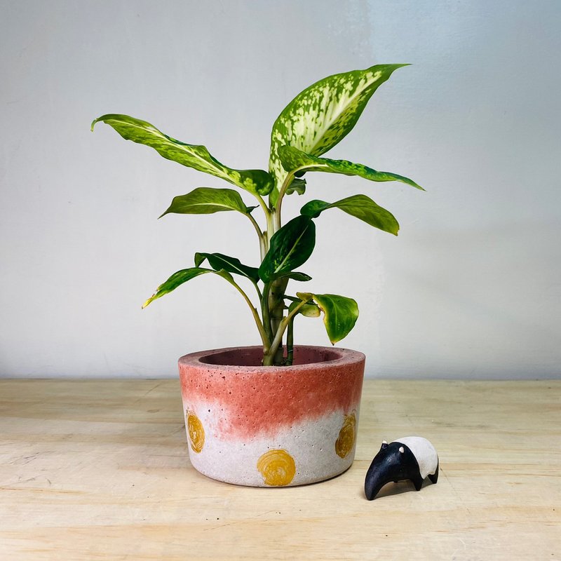 限量单品 手作厚实单品红色金点水泥盆 - 植栽/盆栽 - 水泥 多色