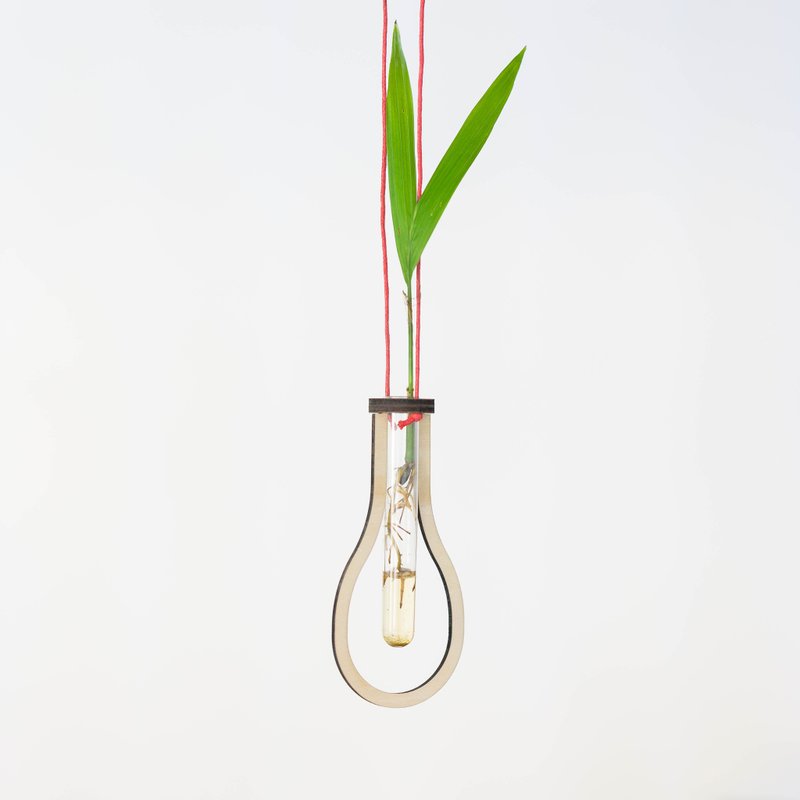 一轮插花瓶・悬挂式・附礼盒及试管 - 花瓶/陶器 - 木头 咖啡色