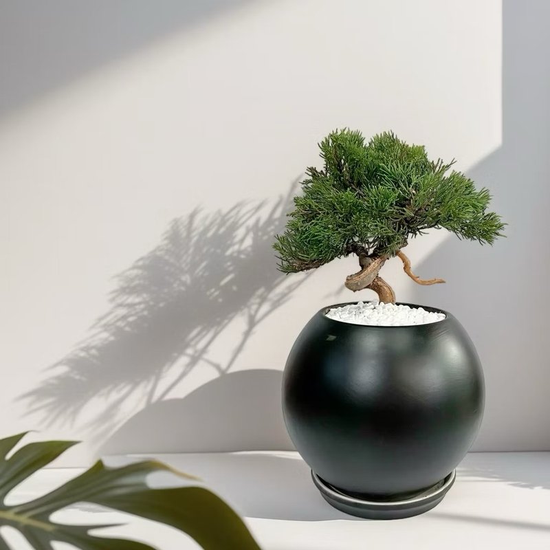 【专人雕塑】真柏 盆栽 送礼开幕新居乔迁升官送礼自用摆设 - 植栽/盆栽 - 陶 