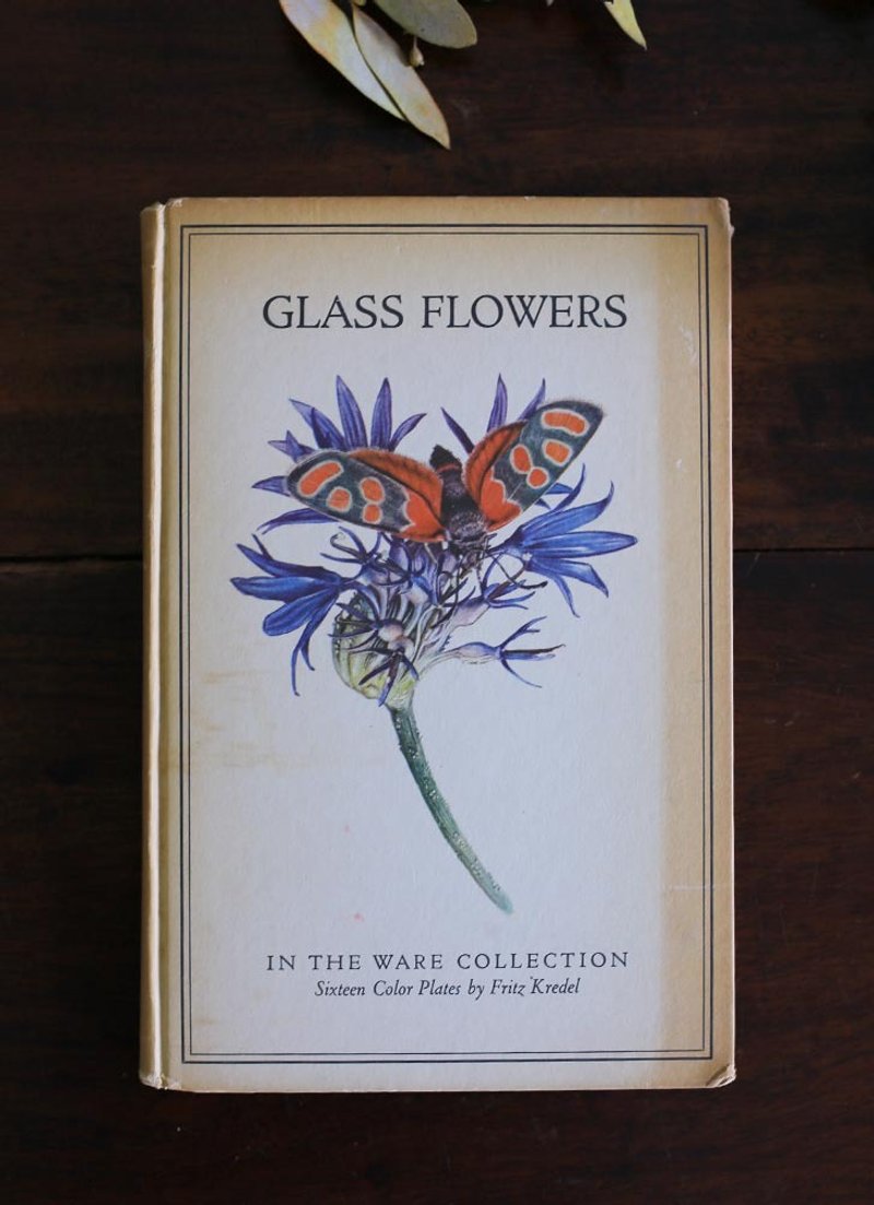 美国1940s Glass Flowers 复古老书 花卉 蜜蜂 插图 - 刊物/书籍 - 纸 金色