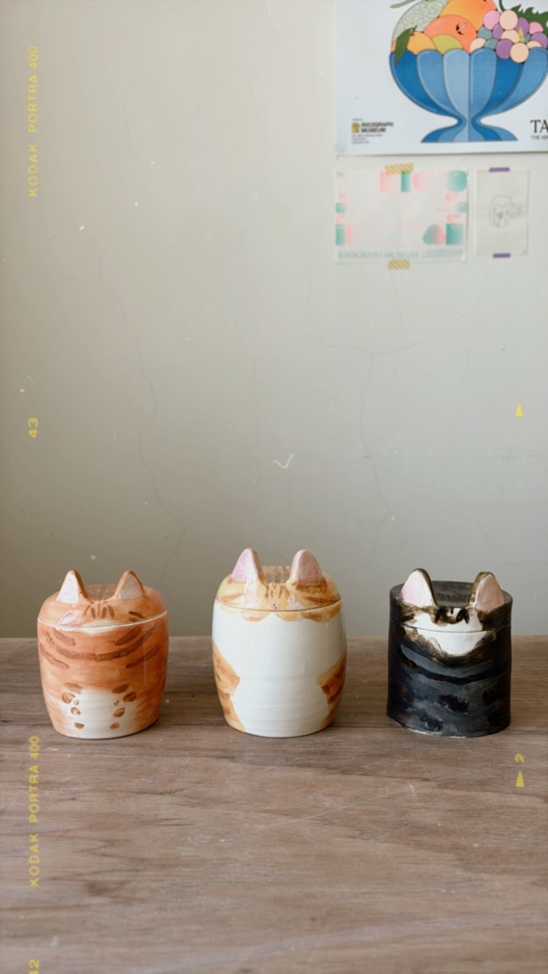 特制三颗宝宝罐for PM 13cm - 订制抱枕/饰品 - 陶 多色