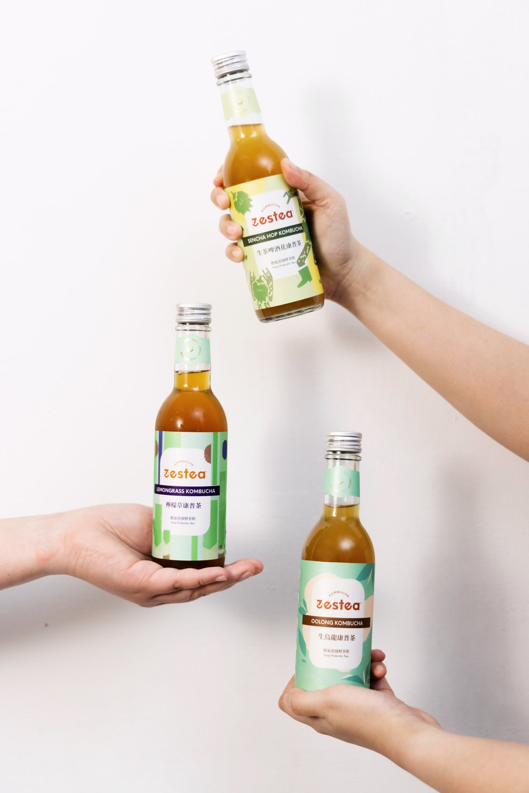 Zestea Green Paradise组 300ML*12瓶(无添加、富含益生菌) - 茶 - 新鲜食材 