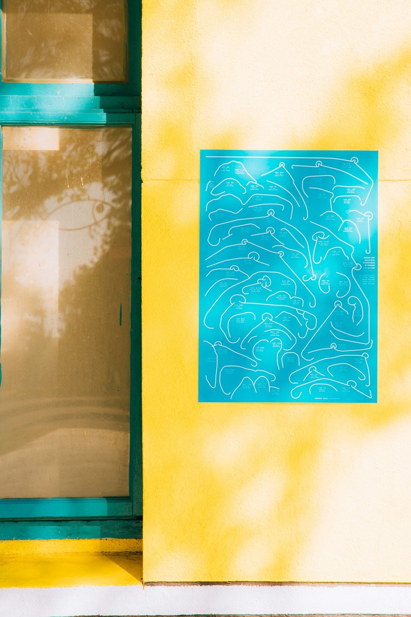 澎湖石沪型态图鉴海报 - 海报/装饰画/版画 - 纸 蓝色