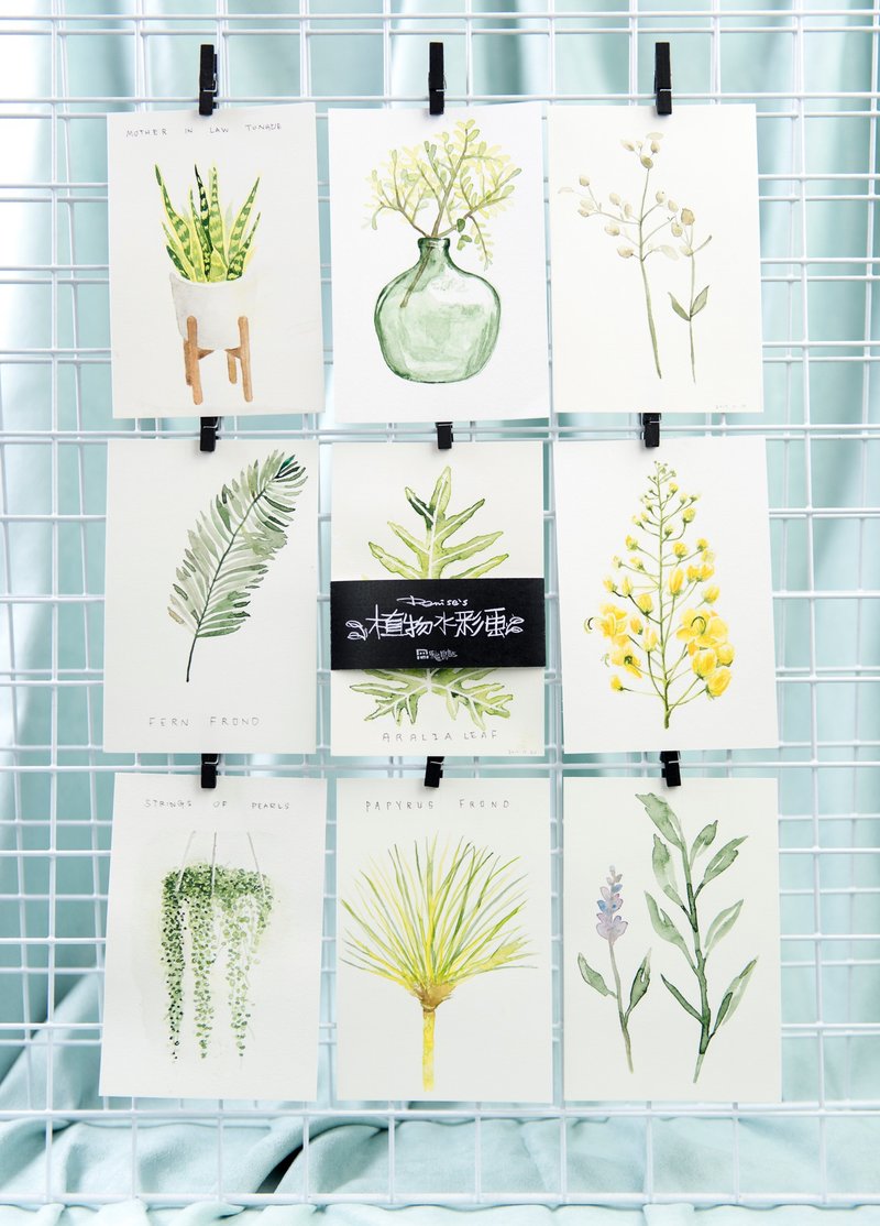 植物水彩画明信片(一套九张) - 卡片/明信片 - 纸 绿色