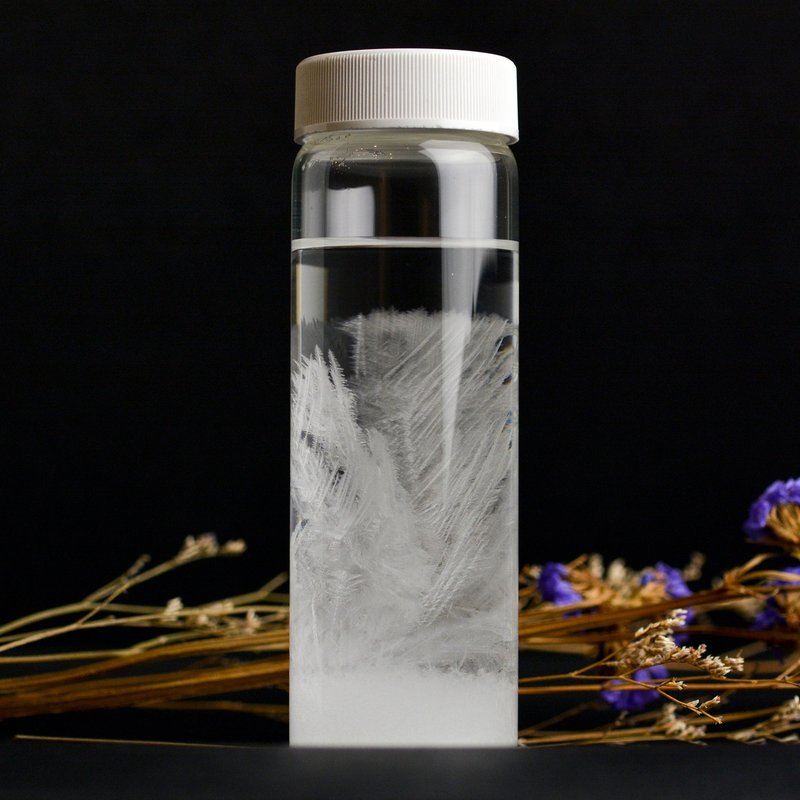 天气瓶手作组 圣诞交换礼 科学手作 趣味 办公室装饰 - 其他 - 其他材质 透明