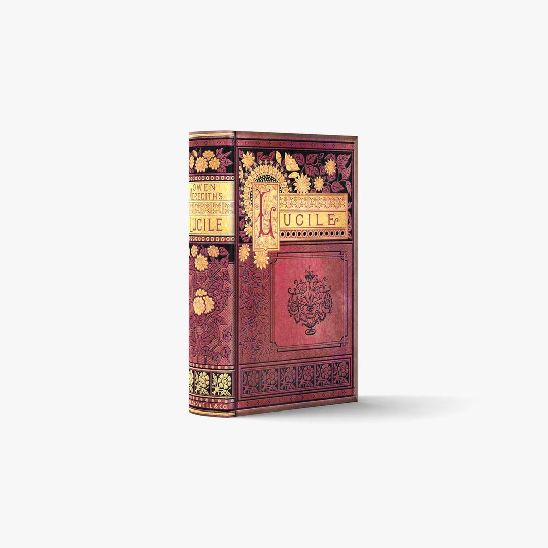 fake book box / POEMS I-LUCILE-A【XS / 1 book】| 3D papercraft, PDF template - 图文模板设计 - 其他材质 
