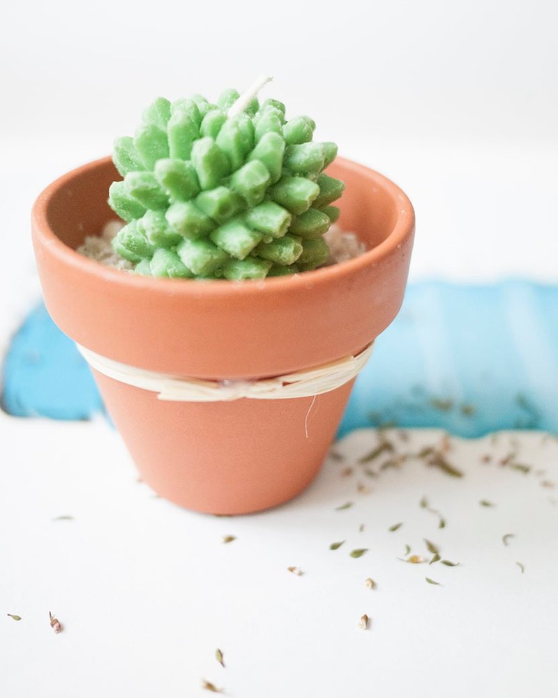 植物盆栽豆蜡烛天然大豆 x 纯精油 x 无烟害 (小号 A - 菠萝钉) - 摆饰 - 蜡 绿色