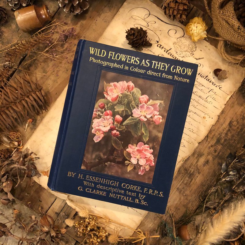 英国Cassell & Co公司出版百年野生花卉丛书-珍贵第一版第2集 - 刊物/书籍 - 纸 蓝色