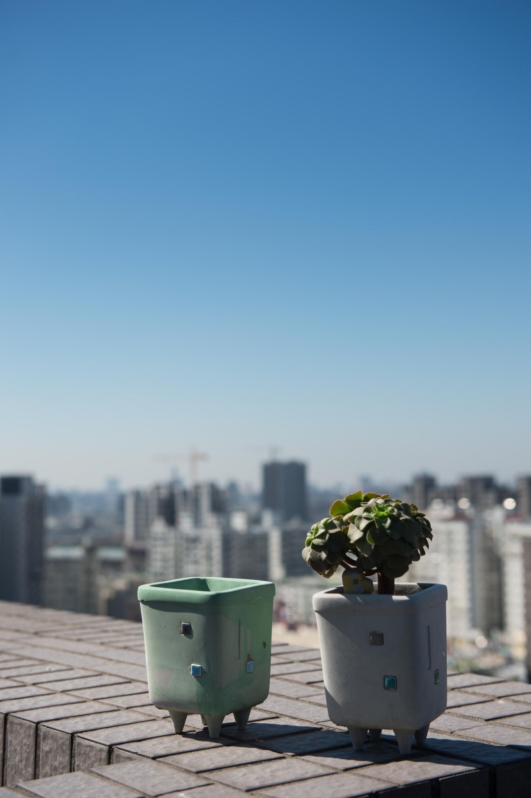 水泥器皿 / 四房小公寓 - 植栽/盆栽 - 水泥 灰色