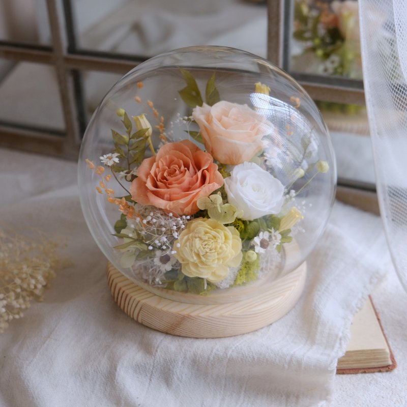 永生玫瑰/玻璃钟罩/永生花/干燥花/不凋花/橘黄色/情人节/结婚 - 植栽/盆栽 - 植物．花 橘色