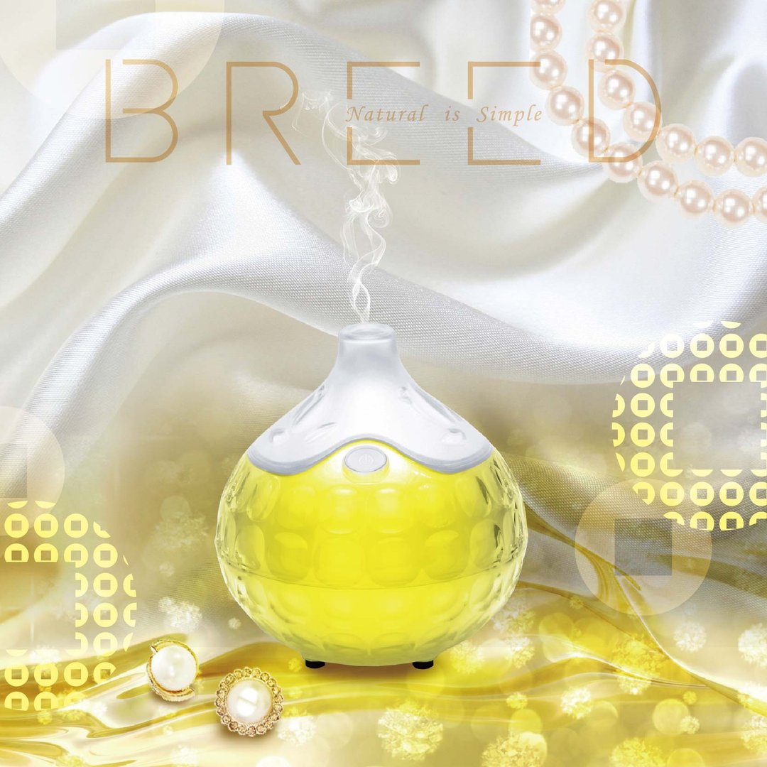 【BREED】香薰机 水氧机 Aroma Diffuser 香氛机  包邮 - 其他 - 塑料 白色