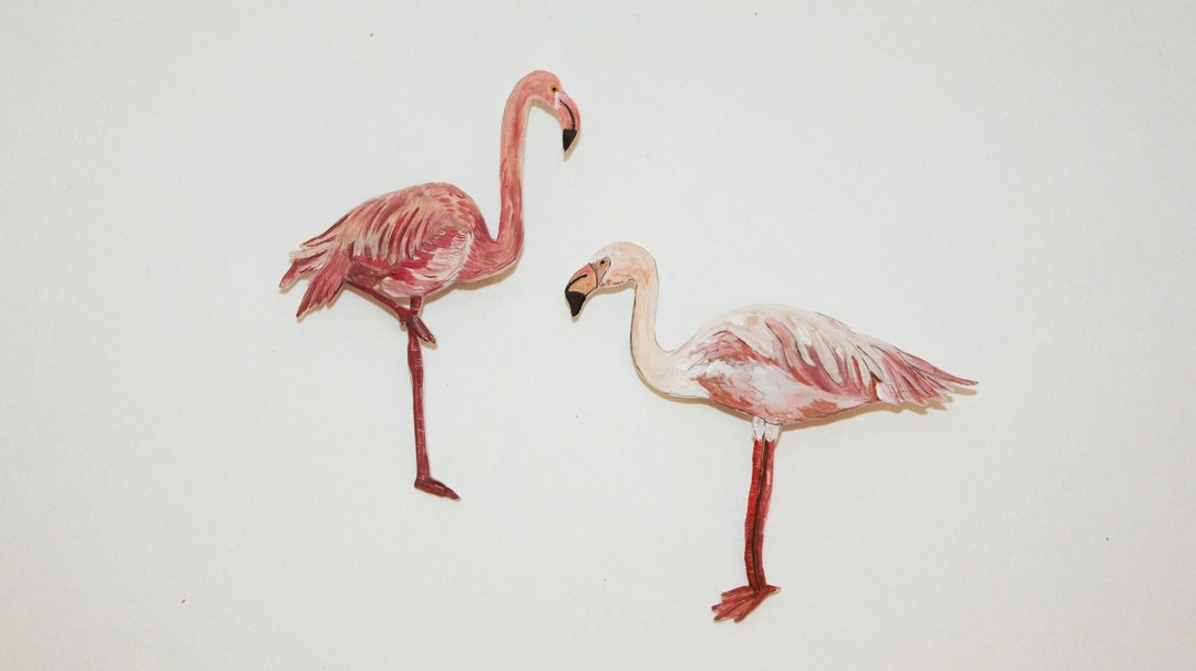 红鹳 flamingo / 手绘胸针 / 一组两件 - 胸针 - 压克力 多色