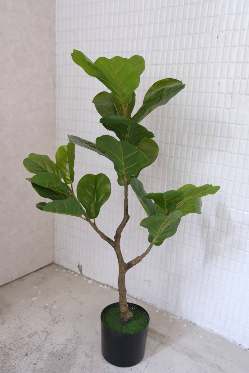 人造植栽/仿真琴叶榕/仿真植物/绿化/永不凋零 - 植栽/盆栽 - 塑料 绿色