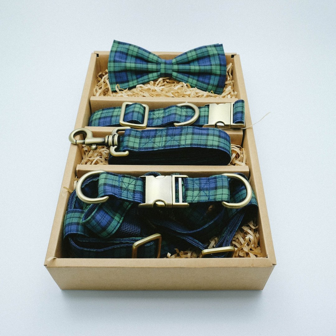 Plaid Collection - 项圈/牵绳 - 其他材质 绿色