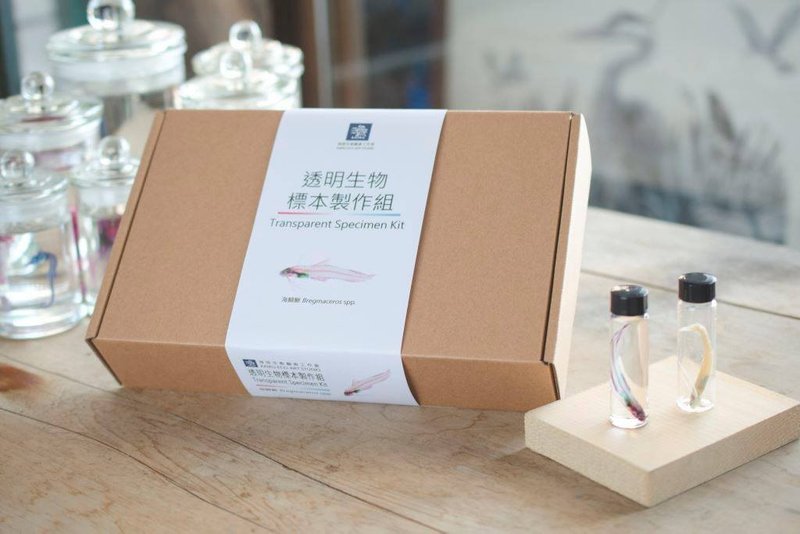 透明生物标本制作组(特规版)-Transparent Specimen Kit - 陶艺 - 玻璃 多色