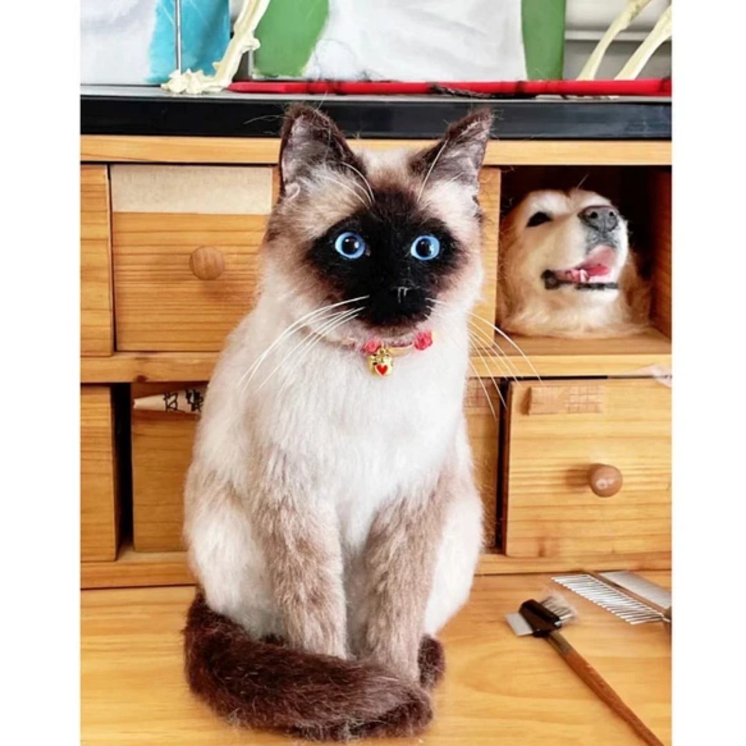 定制化礼物 逼真猫猫 羊毛毡 毛孩 宠物 娃娃 猫咪猫奴 似颜绘 b5 - 玩具 - 羊毛 多色
